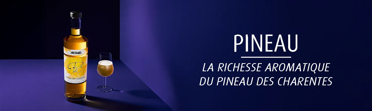 bandeau pineau vf1